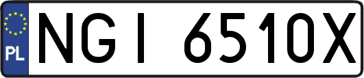 NGI6510X