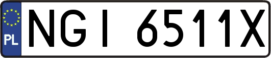 NGI6511X
