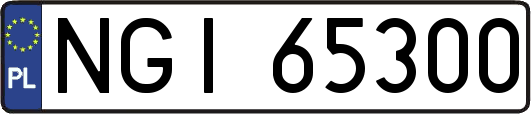 NGI65300