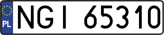 NGI65310