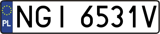NGI6531V