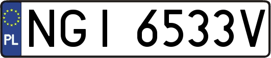 NGI6533V