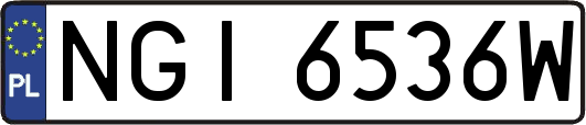 NGI6536W
