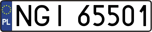 NGI65501