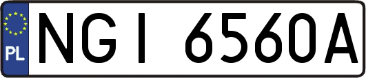NGI6560A