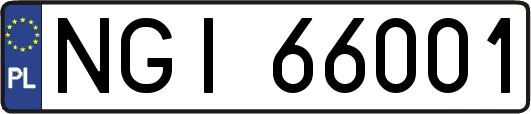 NGI66001