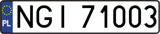 NGI71003