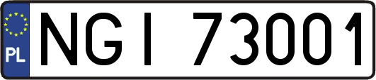 NGI73001