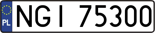 NGI75300