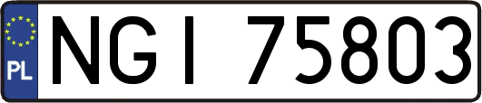 NGI75803