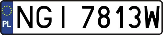 NGI7813W