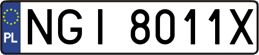 NGI8011X