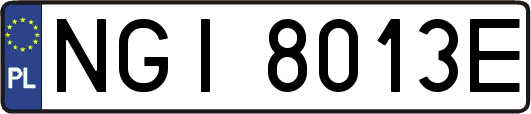 NGI8013E