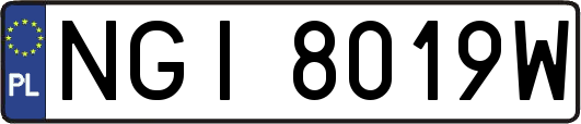NGI8019W