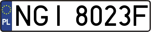NGI8023F