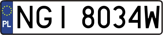NGI8034W