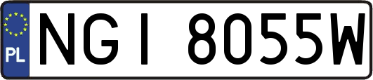NGI8055W