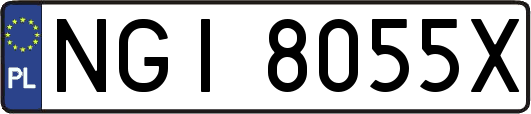 NGI8055X