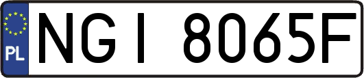 NGI8065F