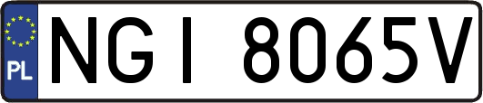 NGI8065V