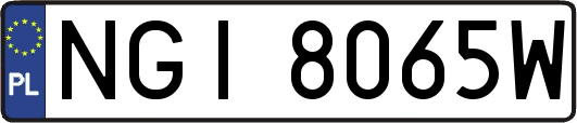 NGI8065W