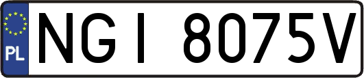 NGI8075V