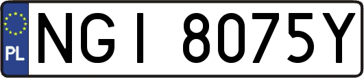 NGI8075Y
