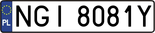 NGI8081Y