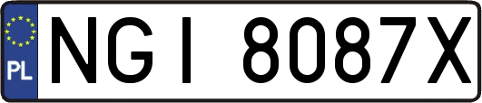 NGI8087X
