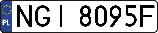 NGI8095F