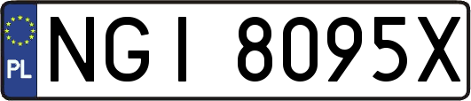 NGI8095X
