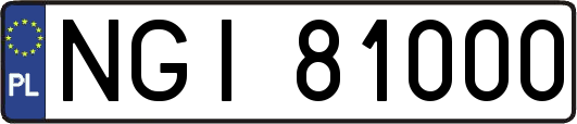 NGI81000