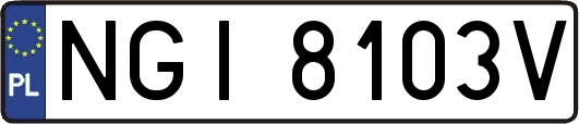 NGI8103V