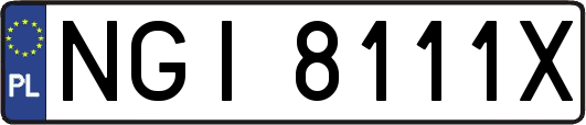 NGI8111X