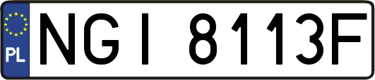 NGI8113F