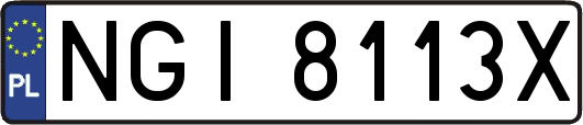 NGI8113X