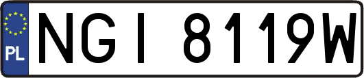 NGI8119W