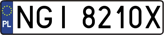 NGI8210X