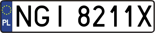 NGI8211X