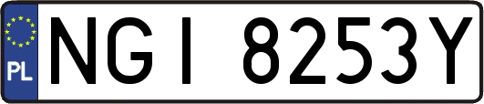 NGI8253Y