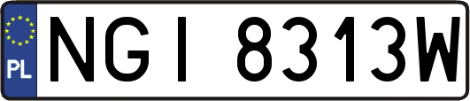 NGI8313W