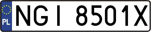 NGI8501X