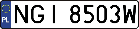 NGI8503W