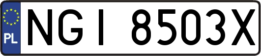 NGI8503X