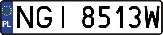NGI8513W