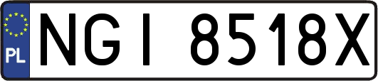 NGI8518X