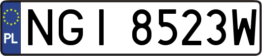 NGI8523W