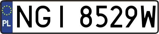 NGI8529W