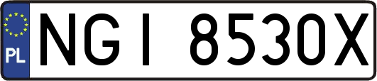NGI8530X