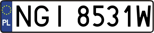 NGI8531W
